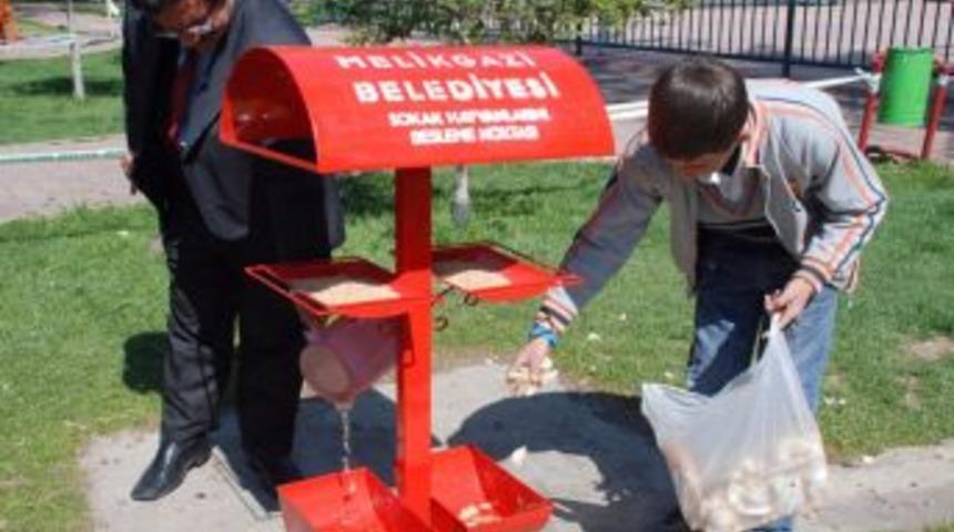 Parklara Kuşlar I&ccedil;in &Ouml;zel Yemlik Ve Su Kapları Konuldu