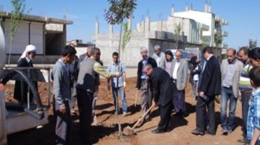 Cumhuriyet Mahallesi'nde Ağa&ccedil; Dikimi