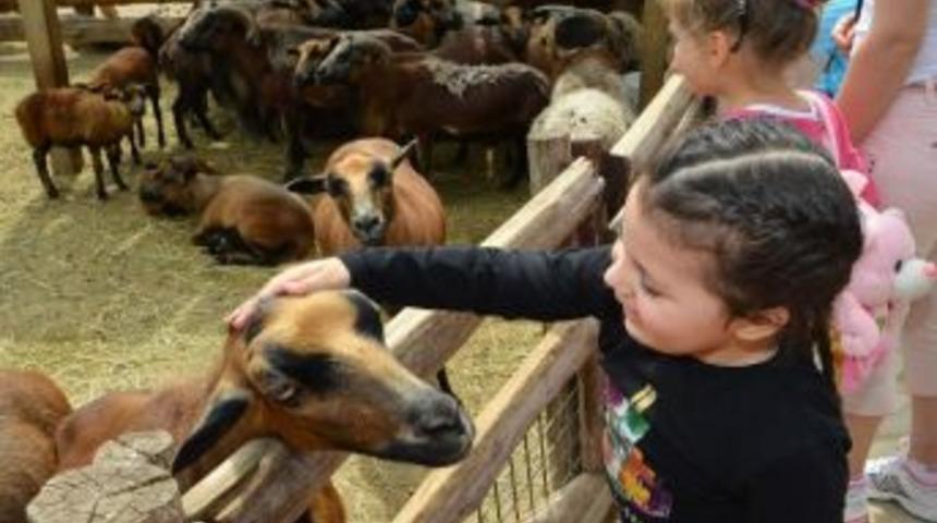 Doğal Yaşam &Ccedil;ifte Rekor Kırdı