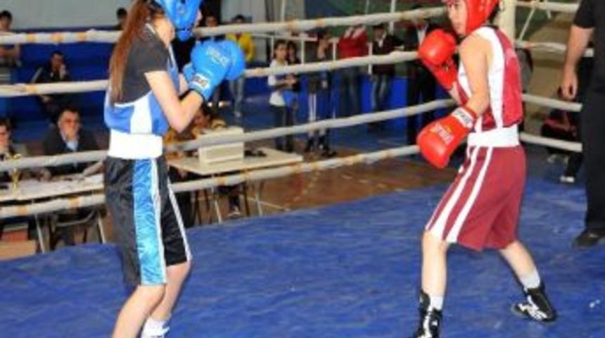 Dostluk Kupası Boks Turnuvası