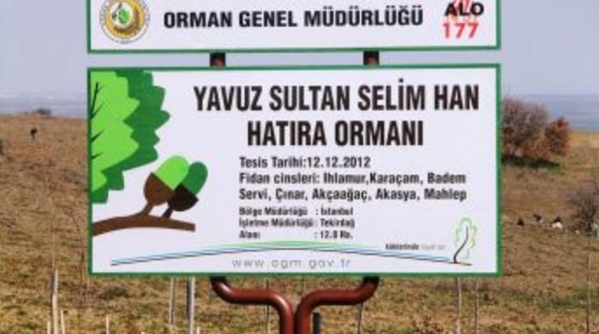 Padişah Yavuz Sultan Selim I&ccedil;in Orman Kuruldu