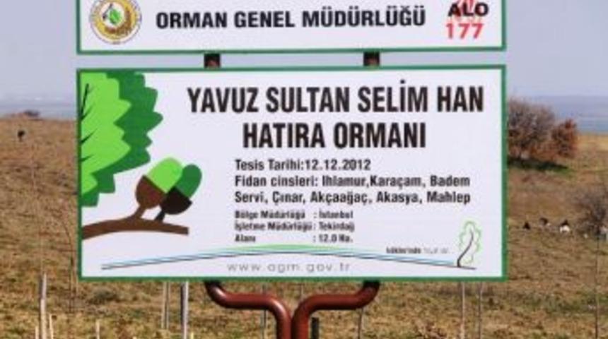 Yavuz Sultan Selim&rsquo;in Adına Hatıra Ormanı Kuruldu