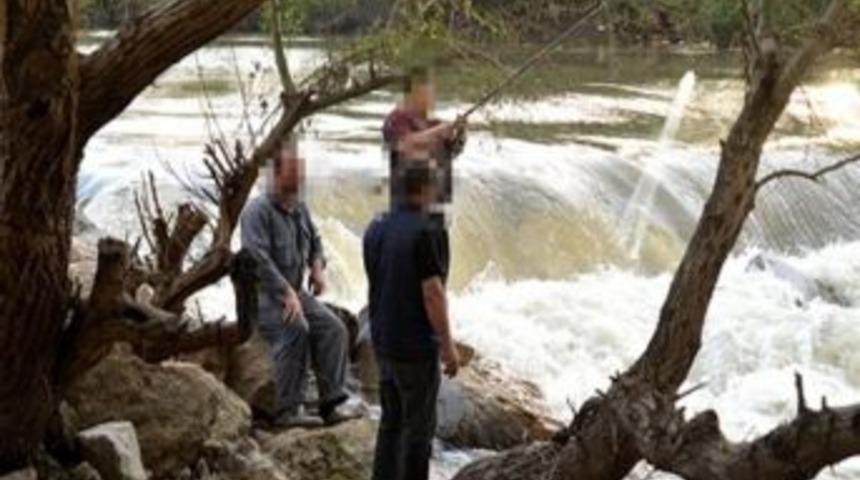Karacabey&rsquo;de Balık Katliamı