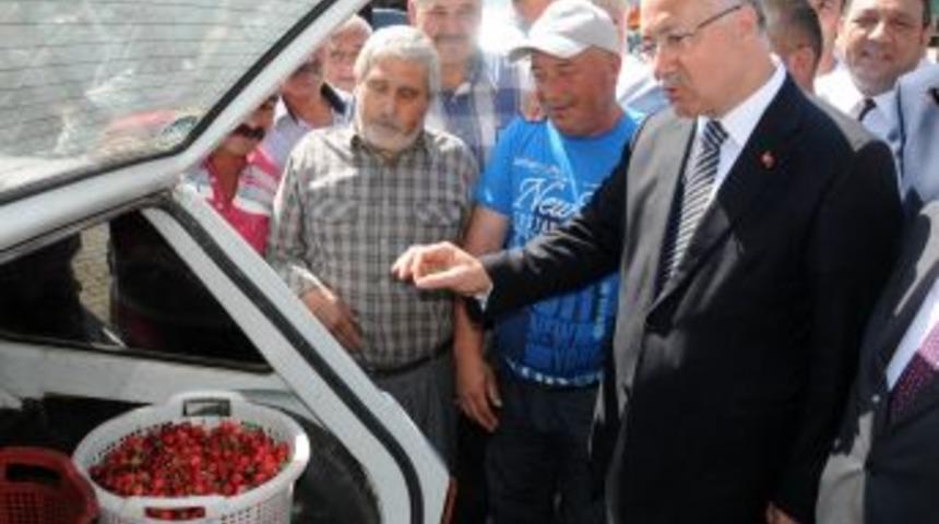 Kirazda Rekolte D&uuml;şt&uuml;, Sofralara Pahalıya Gelecek