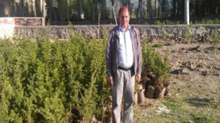 Akbayır&rsquo;da 2 Bin Fidan Daha Dikildi