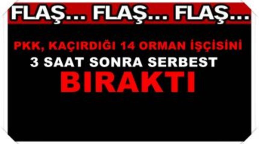 PKK Orman iş&ccedil;ilerini ka&ccedil;ırdı