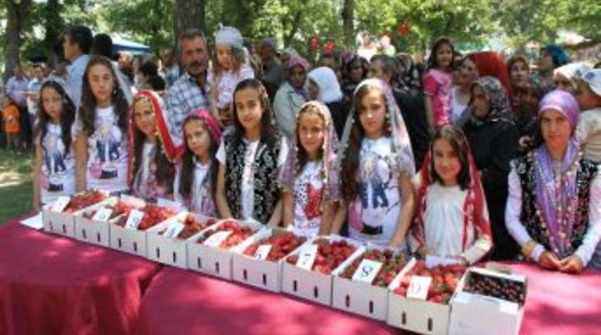 Çilek Festivali 2 Haziran'da