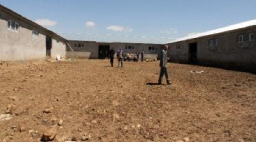 Teşvik Alamayan &Ccedil;ift&ccedil;inin İsyanı