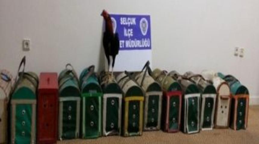 Sel&ccedil;uk'ta Horoz D&ouml;v&uuml;ş&uuml; Yaptıranlara Baskın