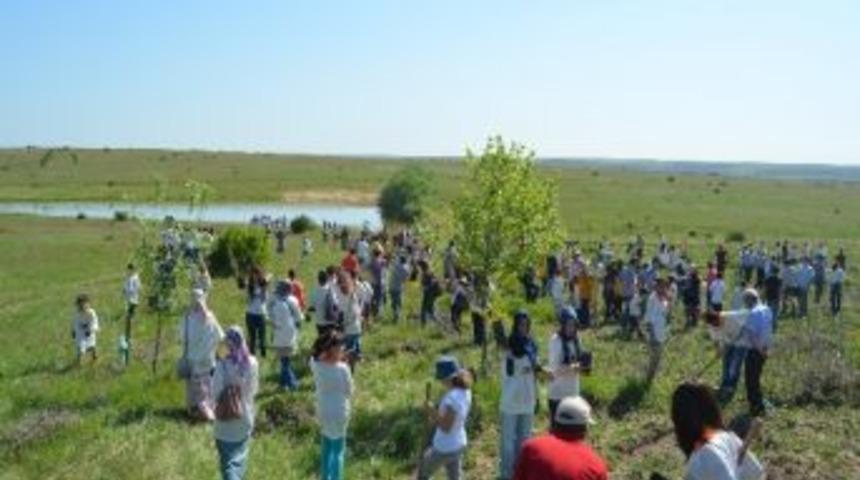 &Ccedil;evre Ordusundan Musabeyli K&ouml;y&uuml;ne 300 Fidan