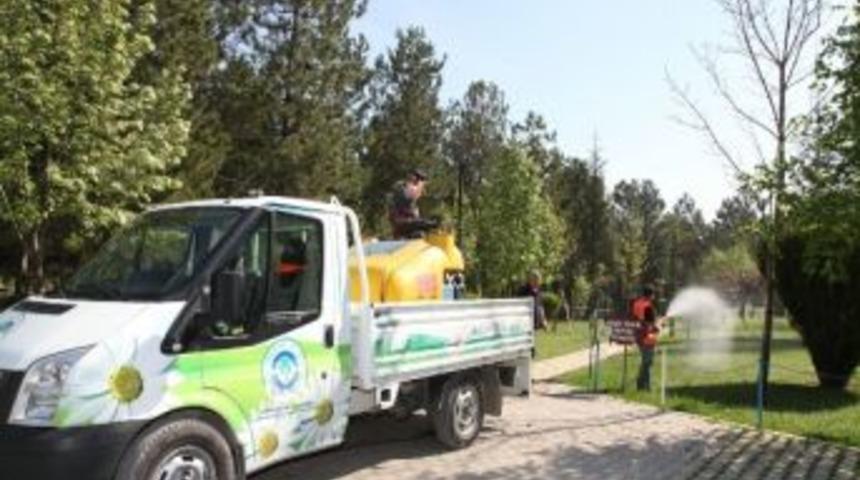 Odunpazarı’nda Piknik Alanları İlaçlanıyor