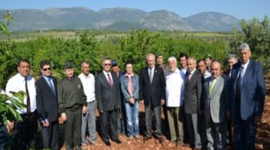 Kiraz &Uuml;reticileri Rekolteyi D&uuml;ş&uuml;k Bekliyor