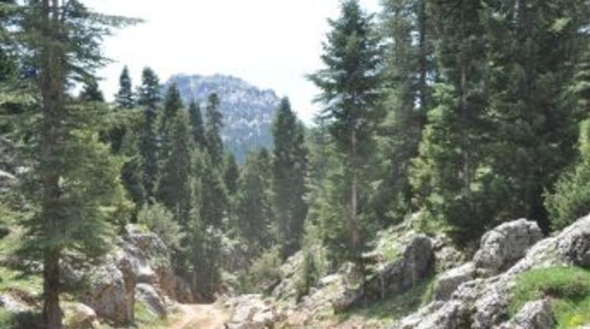 Kozan&rsquo;da Yama&ccedil; Paraş&uuml;t&uuml; İ&ccedil;in Yol A&ccedil;ma &Ccedil;alışması Başlatıldı