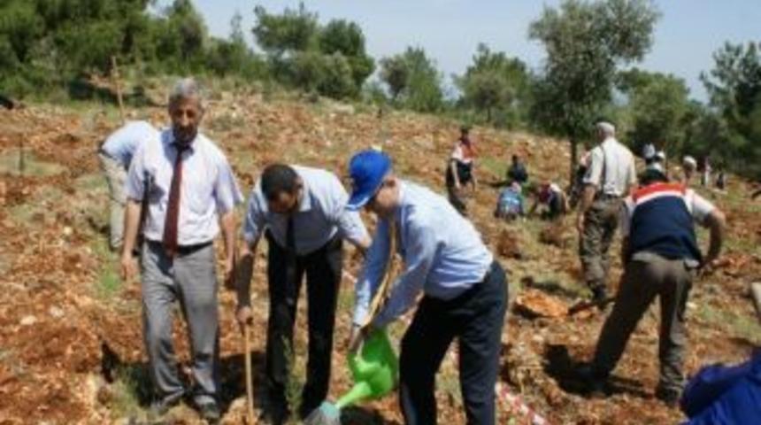 Mezitli'de Ağa&ccedil;landırma &Ccedil;alışması