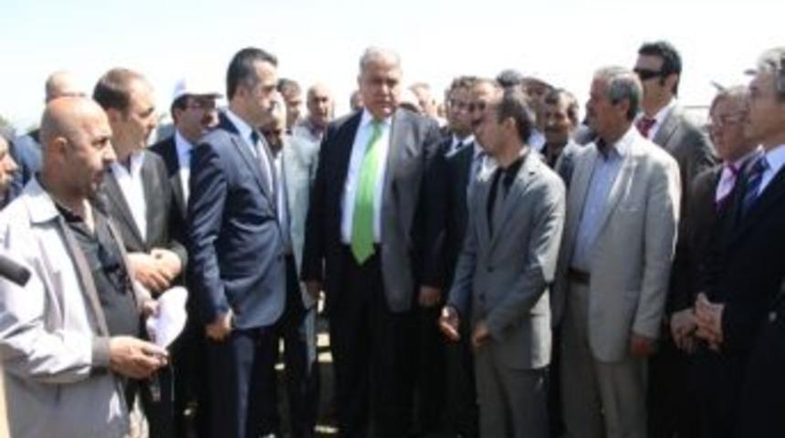 Ağrı&rsquo;ya 1,5 Milyon Fidan Dikilecek