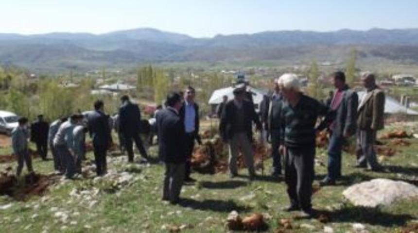 Nurhak'a Kent Ormanı