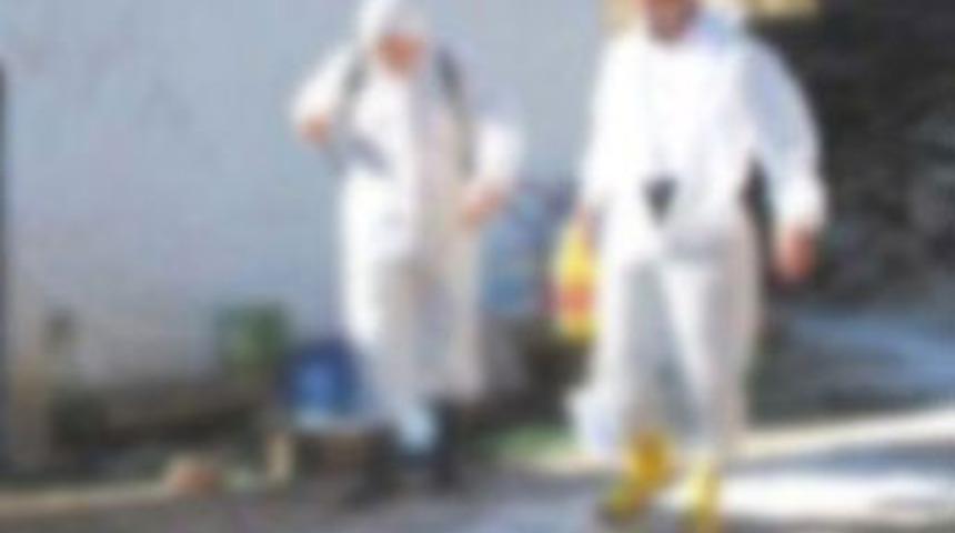 Zonguldak'ta 'şap' karantinası