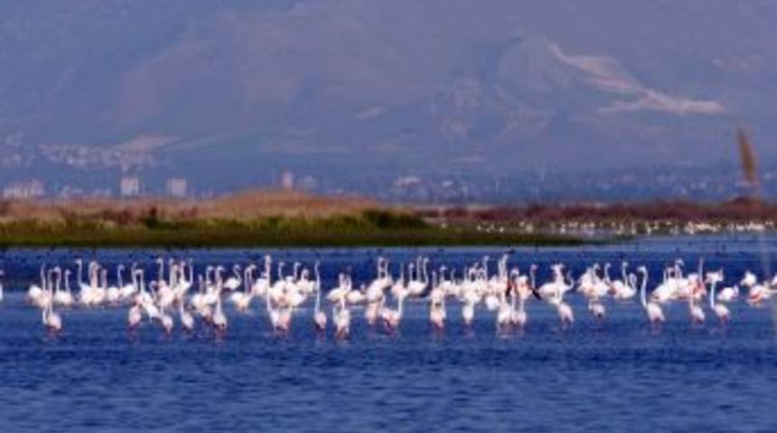 Akg&ouml;l&rsquo;&uuml; Besleyen Su Kaynaklarına Set &Ccedil;ekildi