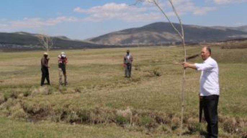 K&ouml;yl&uuml;ler 1 Mayısı Ağa&ccedil; Ekerek Kutladılar