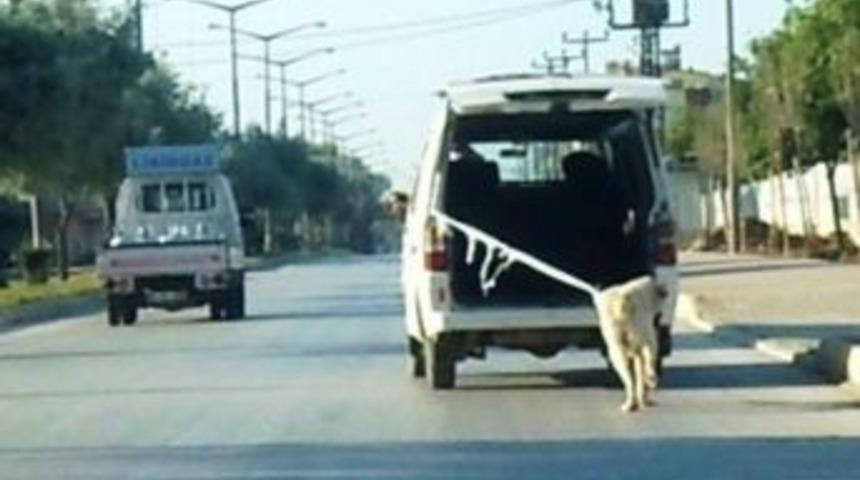 K&ouml;peği Araba Arkasına Bağlayıp &Ccedil;ekenler