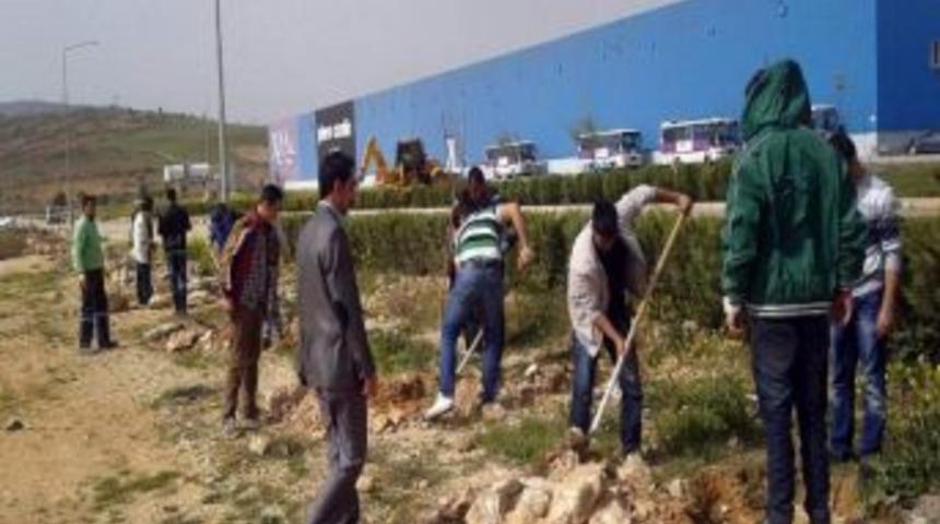 &ldquo;sanayide Bir Yeşil Ada&rdquo; Projesi Kapsamında Fidan Dikimi