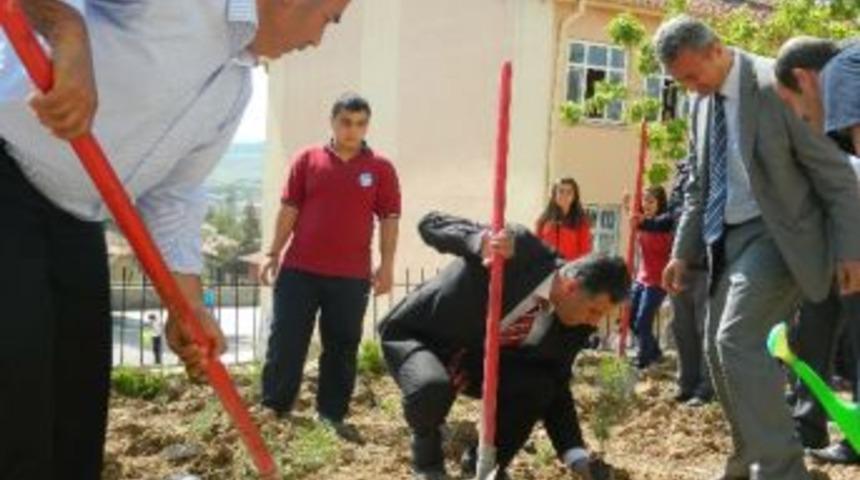 Kırıkkaleli &Ouml;ğrenciler Fidan Dikti