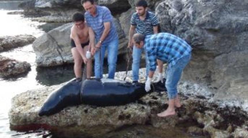 Duman&rsquo;a Otopsi Yapılacak