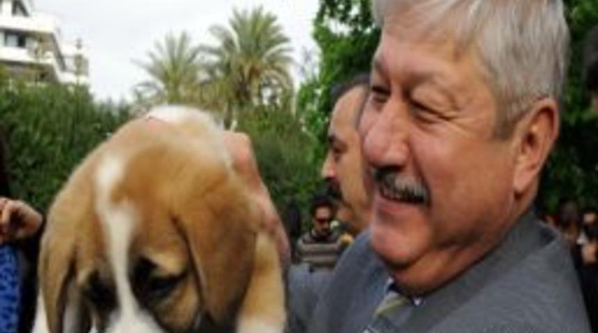 Akaydın&rsquo;dan &lsquo;Duman&rsquo;ın &Ouml;ld&uuml;r&uuml;lmesine Tepki