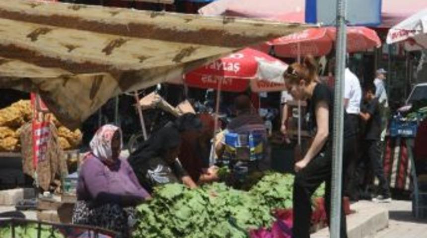 Kilis'te Asma Yaprağına Yoğun Talep