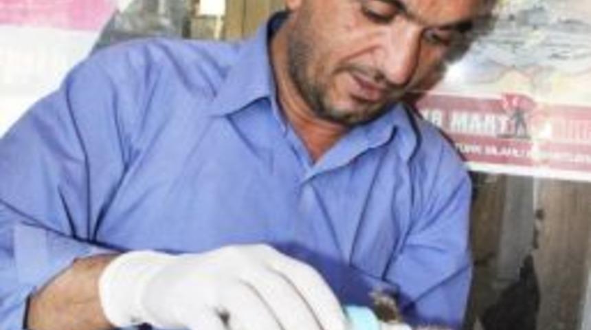 Annesiz Kalan Kedilere Adliye Personeli Sahip &Ccedil;ıktı