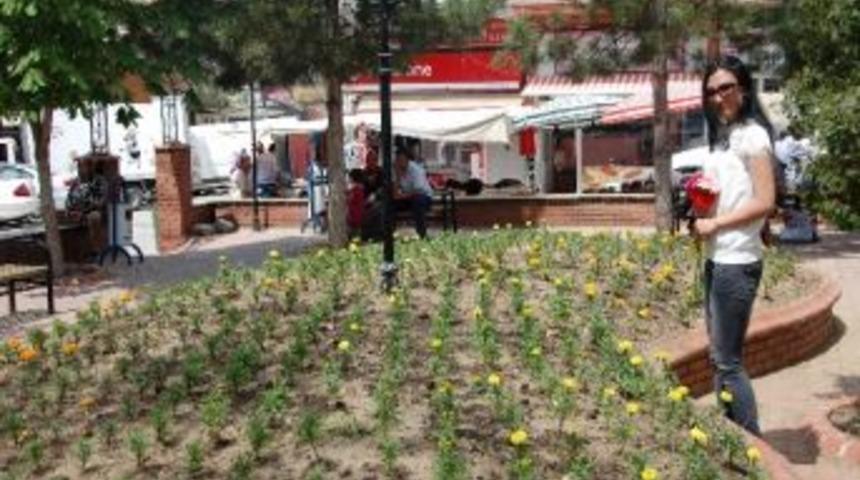 Simav &Ccedil;i&ccedil;ek Bah&ccedil;esi Gibi