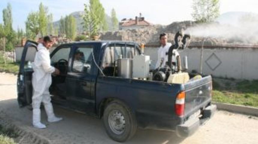 Boz&uuml;y&uuml;k'te Haşereye Karşı Larva M&uuml;cadelesi Başladı