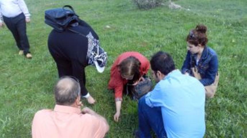 KUDAKA, Tıbbi Aromatik Bitkileri Mercek Altına Aldı