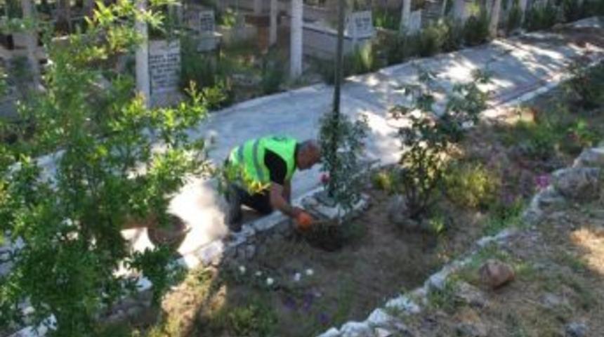 K&uuml;&ccedil;&uuml;kk&ouml;yde Mezarlık Bakım &Ccedil;alışmaları