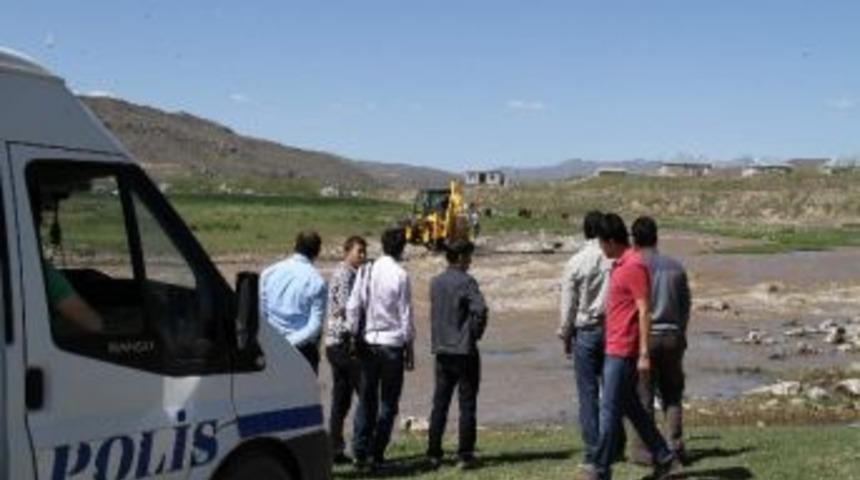 Martıların Balık Ziyafeti