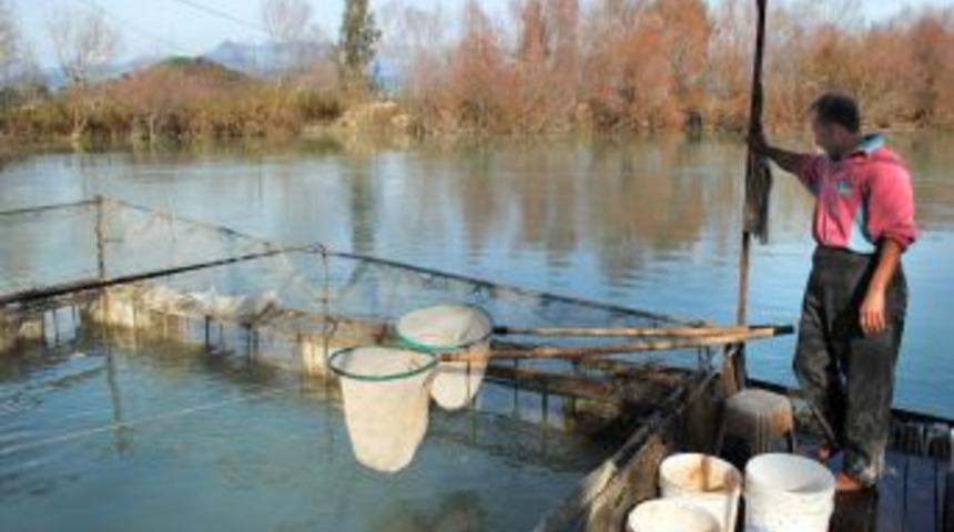 Manavgat I&ccedil; Sularında Balık Avı Yasaklandı