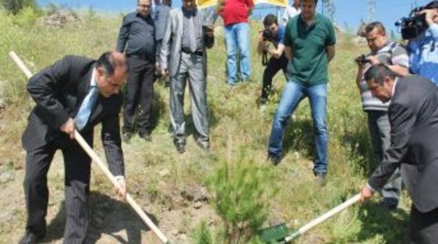 Gazeteciler, 500 Fidanı Toprakla Buluşturdu