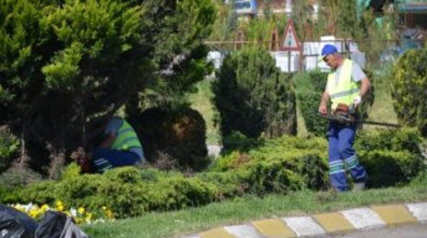 &Ccedil;orlu Belediyesi'nde &Ccedil;evre D&uuml;zenlemeleri Başladı