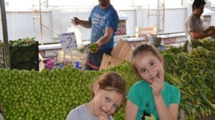 Eriğin Kilosu 12&rsquo;den 2,5 Tl&rsquo;ye D&uuml;şt&uuml;