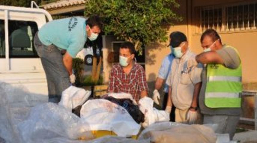 Fok Duman&rsquo;ın Otopsisi Tamamlandı