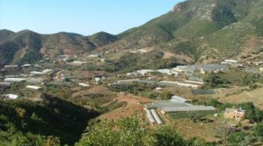 Gazipaşa'da 2b Tapuları Dağıtılmaya Başlandı