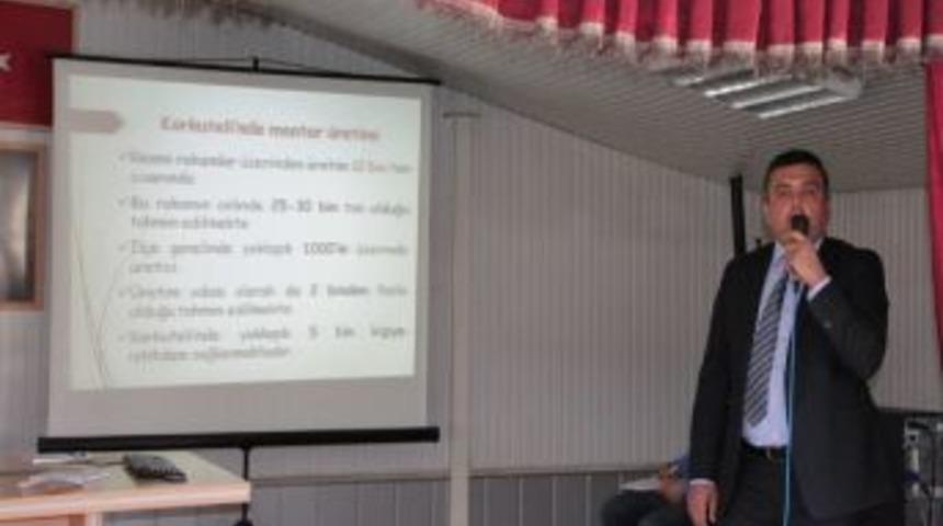 Korkuteli'nde Mantarcılık Ve Sorunları Tartışıldı