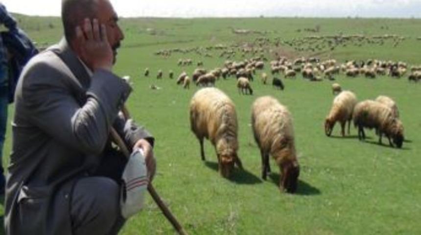 Silah Sesleri Yerini Dengbejlerin Sesine Bıraktı