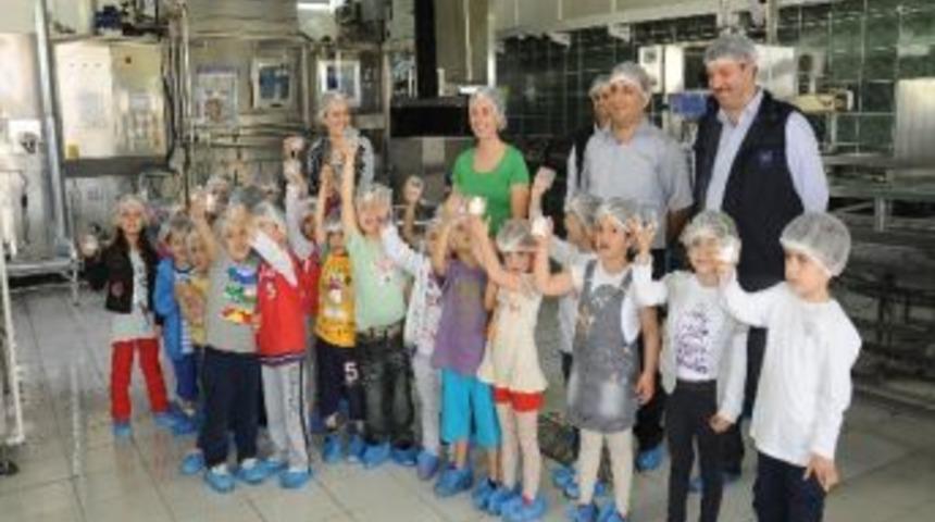 Anaokulu &Ouml;ğrencileri Yuvacık Su&acute;da