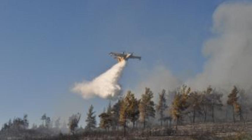 Yaz Yangınlarına Dikkat