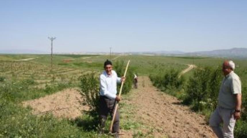 K&ouml;y Imamı Ve K&ouml;yl&uuml; Dayanışma I&ccedil;inde &Ccedil;alışıyor