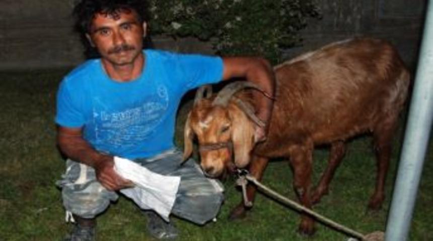 Ke&ccedil;isini K&ouml;pek Isırınca Acil Servise Getirdi