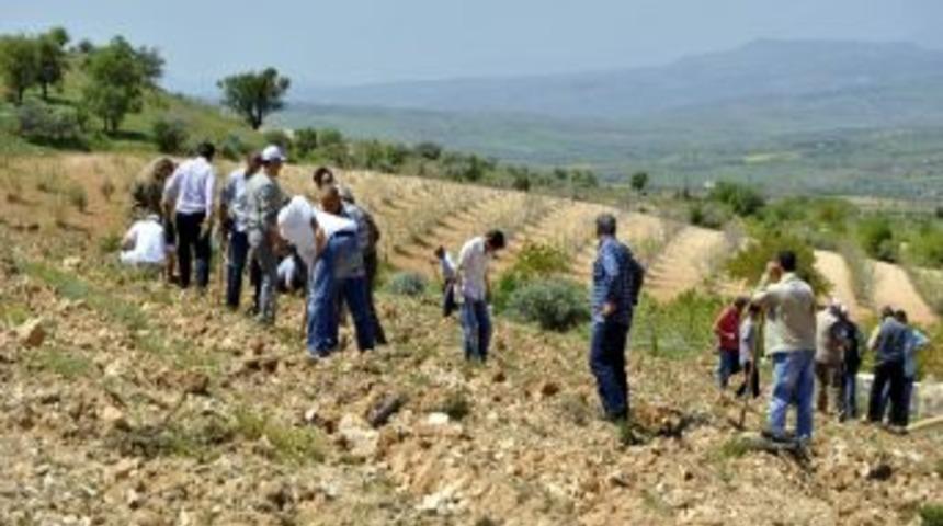 Şehit İnfaz Koruma Memurları İ&ccedil;in Hatıra Ormanı