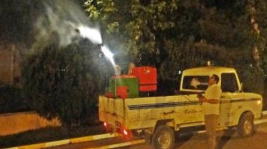 Sungurlu'da Haşera İle M&uuml;cadele &Ccedil;alışmaları