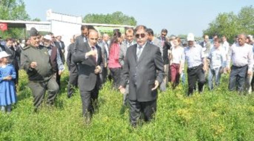 Paşakonağı Merası A&ccedil;ıldı